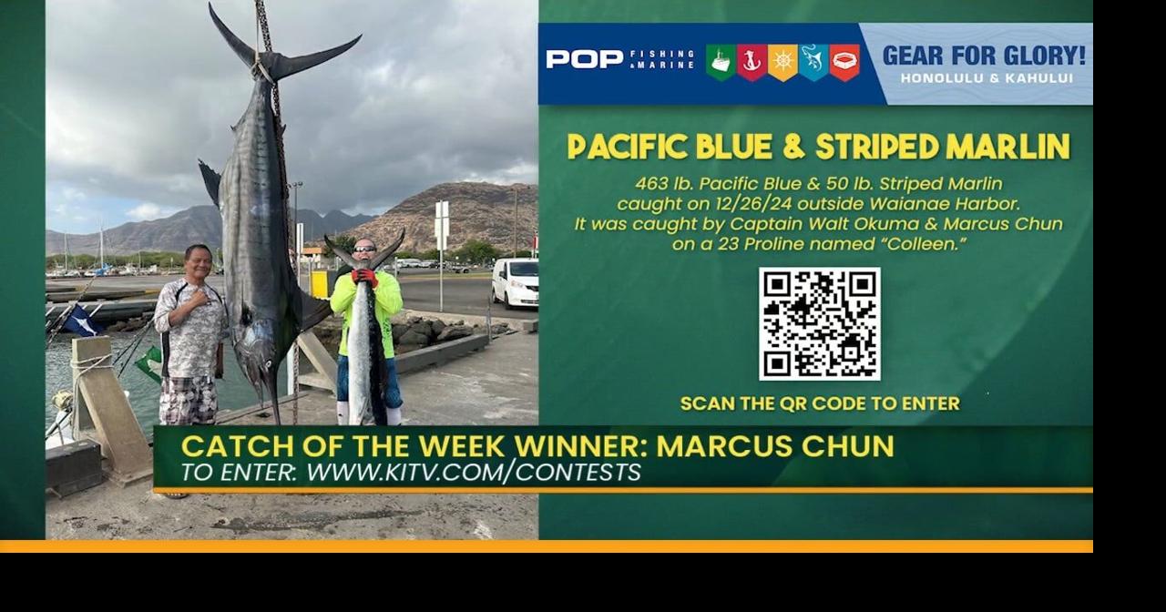 Pop Fishing VIP Scott Kinzer Week 10 | Island Life Live | kitv.com