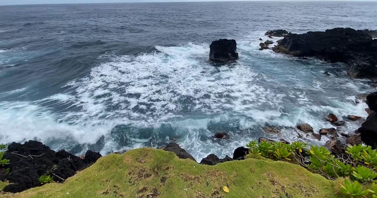 Search for Big Island woman, reported missing after opihi picking trip, continues into third day - Vimarsana News