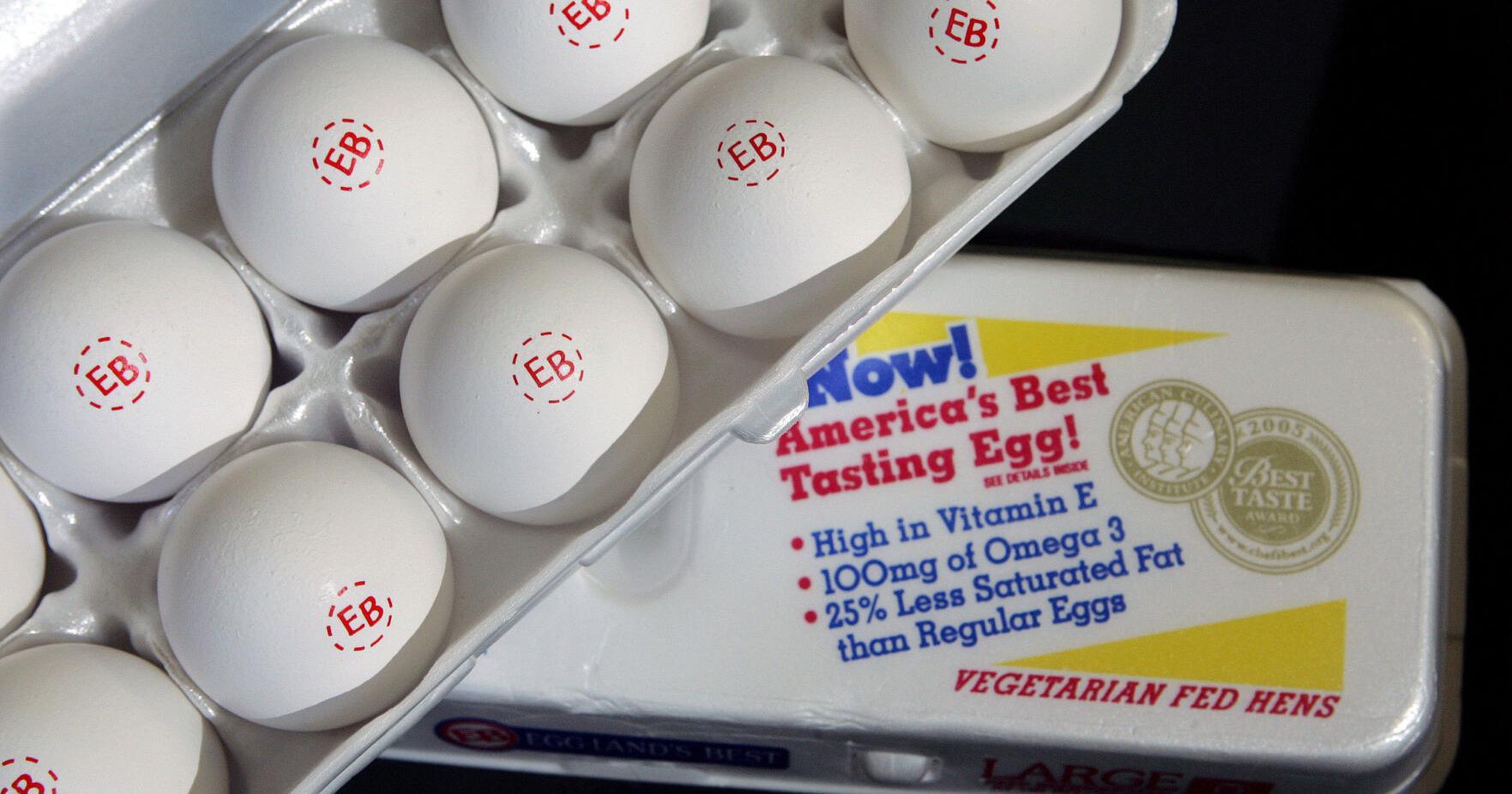 Surging egg prices mean record profits for largest US egg producer - Vimarsana News