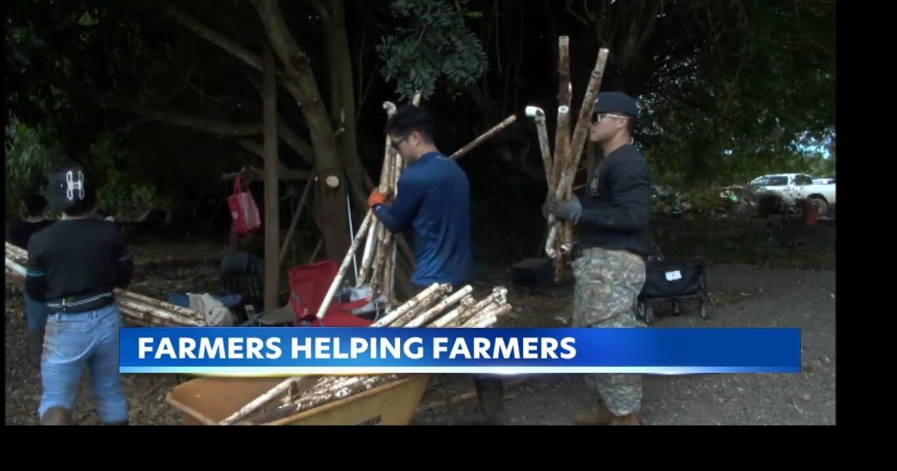 North Shore farmers face long recovery after flooding on Oahu wipes out crops