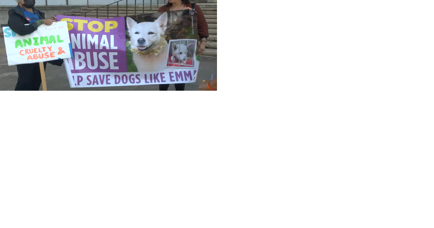 Honolulu Police Chief rallies with animal activists to advocate for animal cruelty bills - Vimarsana News