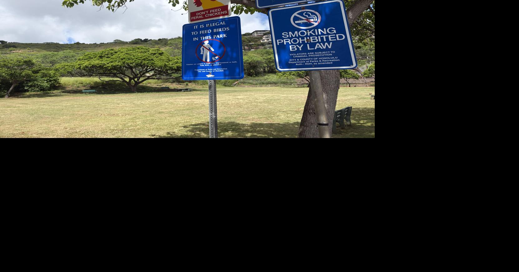 City will look at alternate sites for first public Kyudojo