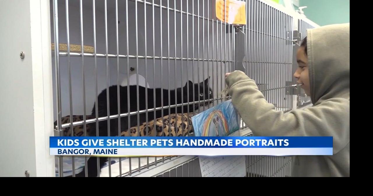 Students brighten shelter with handmade art for adoptable pets