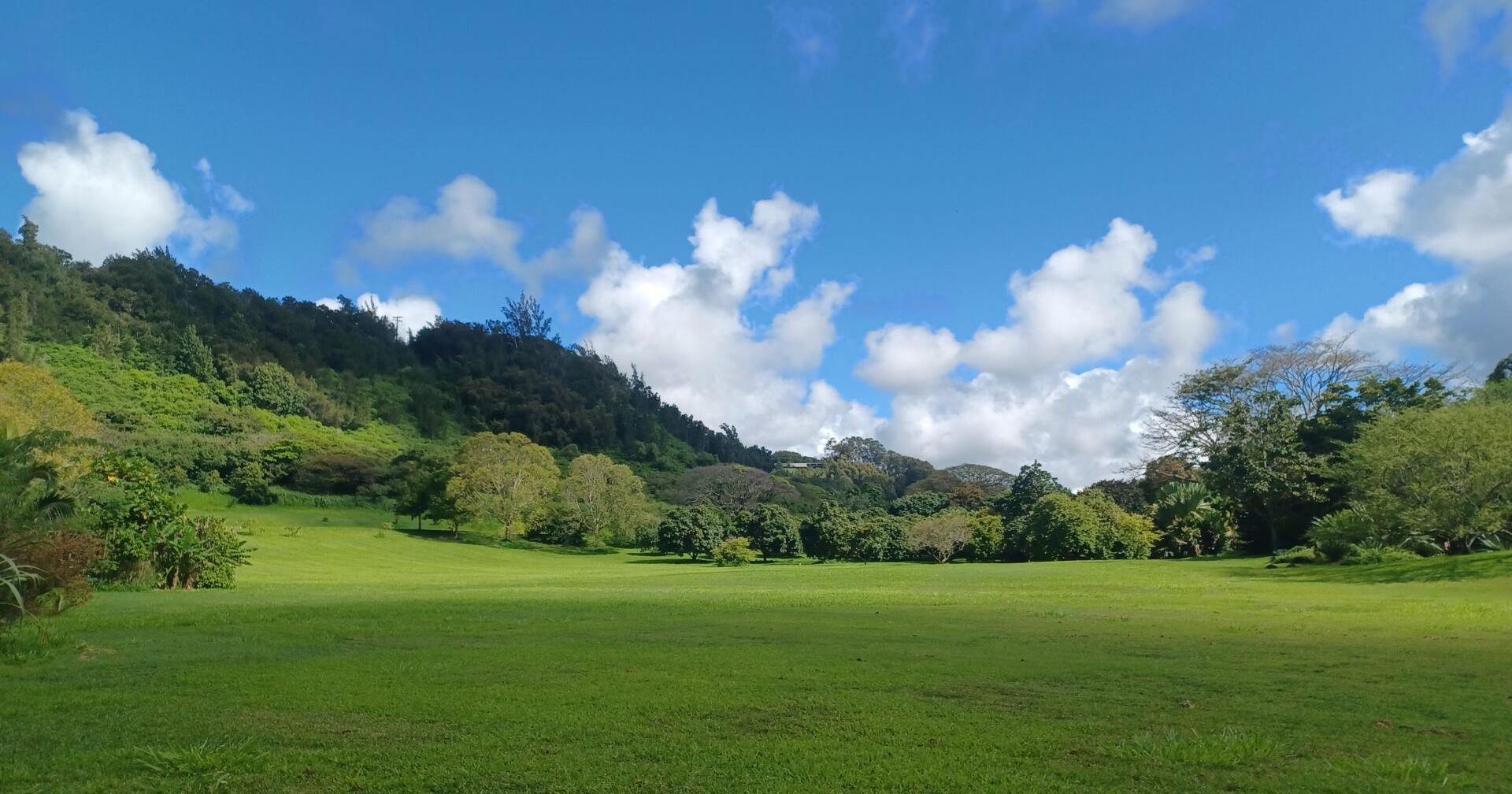 National Tropical Botanical Garden marks 60th anniversary this year - Vimarsana News