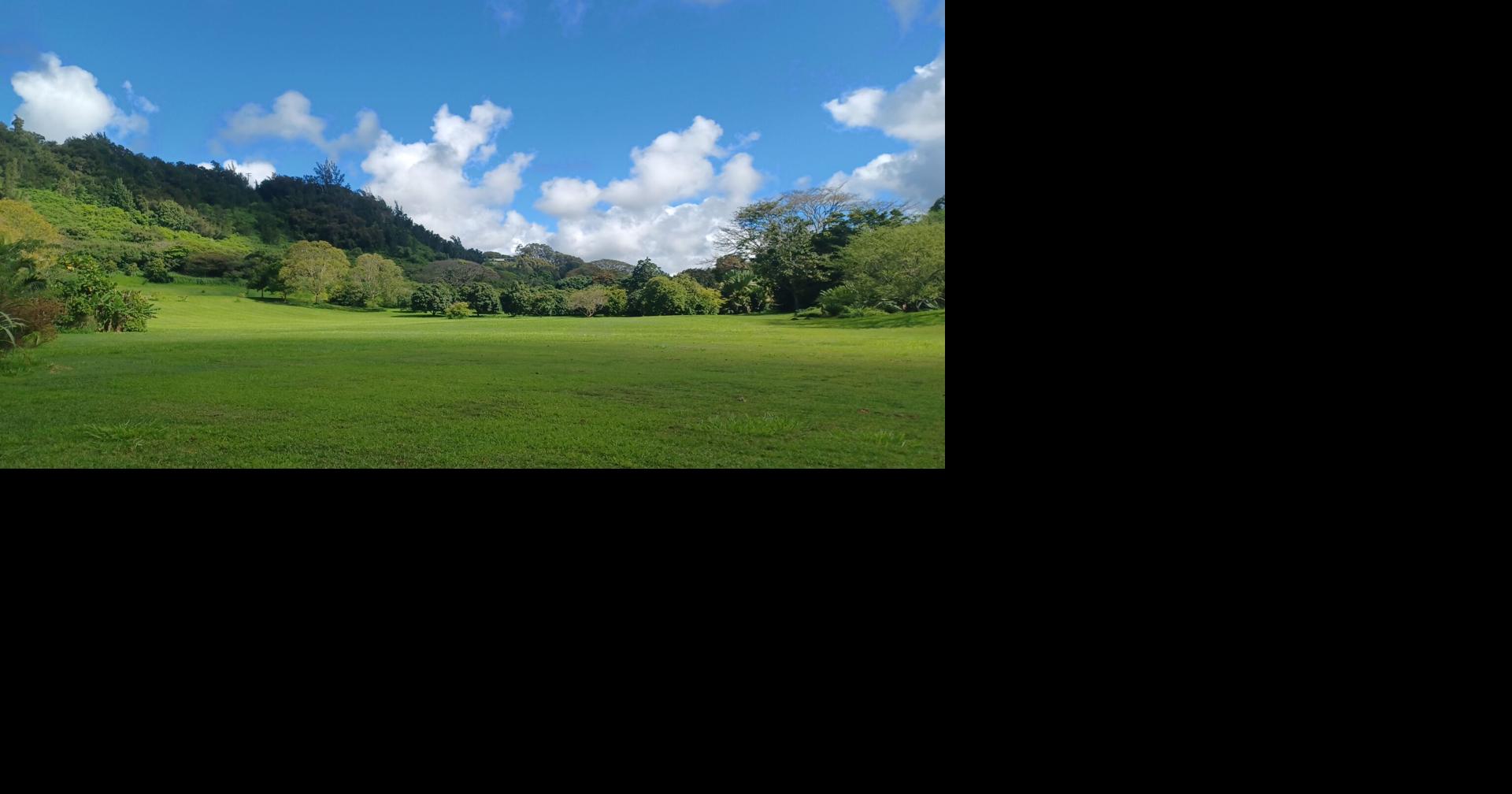National Tropical Botanical Garden marks 60th anniversary this year ...