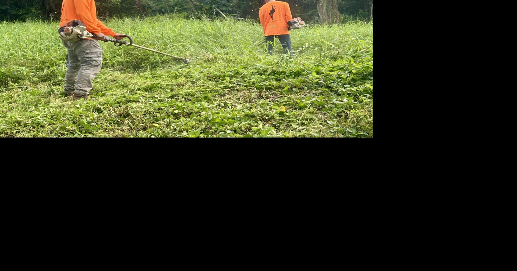 Efforts underway now, to prevent future fires