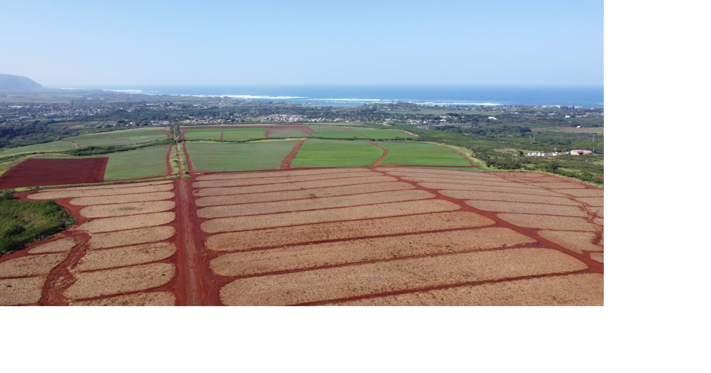 Affordable farm land available for farmers in Waialua Local