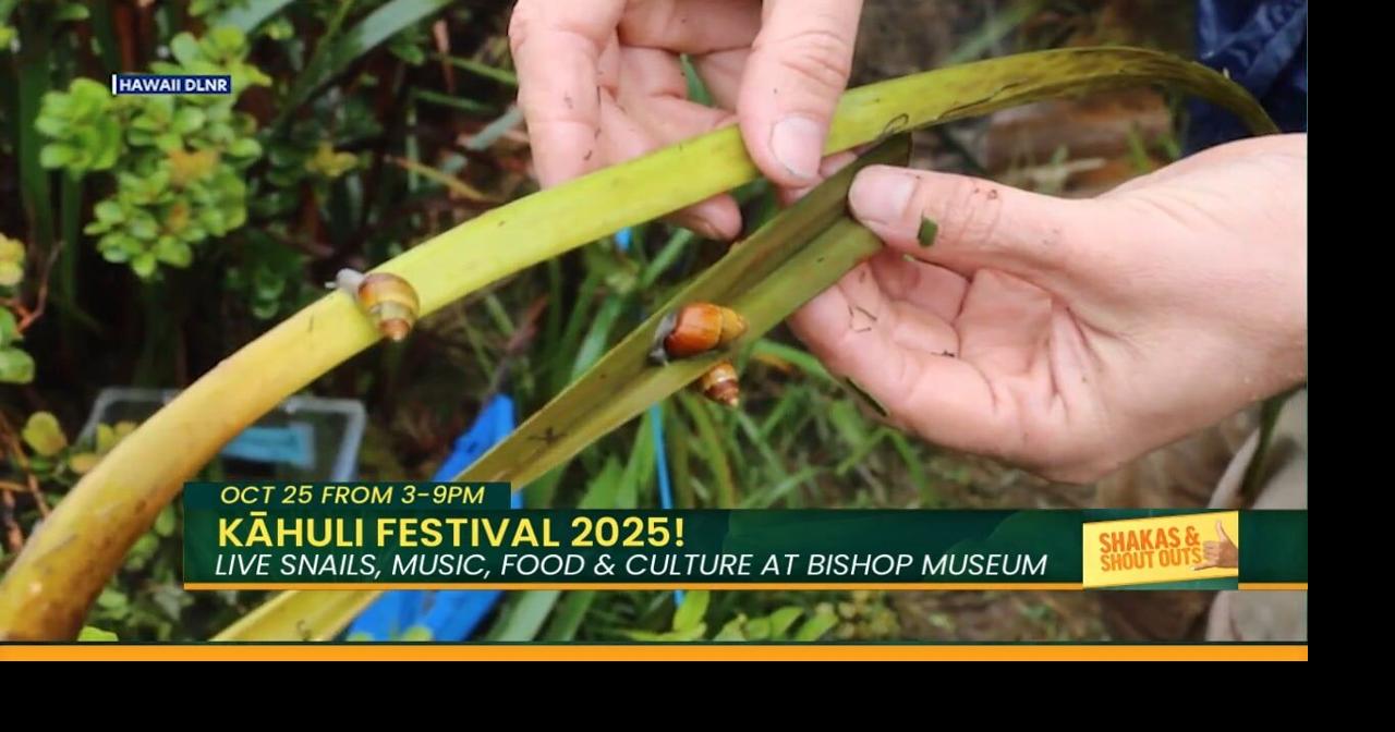 Kāhuli Festival Returns to Bishop Museum! | Island Life Live | kitv.com