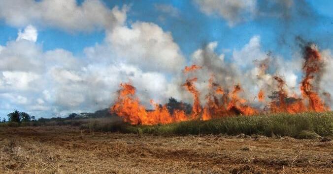 Hawaii's second-driest year sparks climate action, new report says