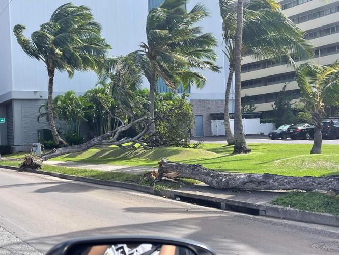 Downed trees, poles and power outages as high winds hit parts of Hawaii ...