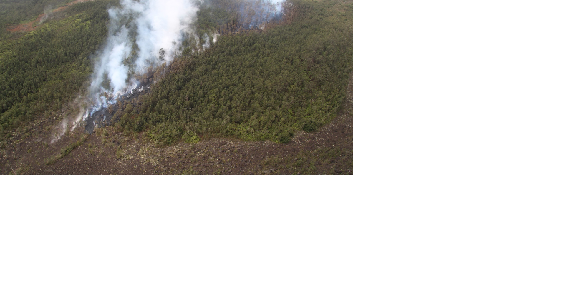 Kilauea briefly erupts in remote East Rift Zone, lava flows and gas ...