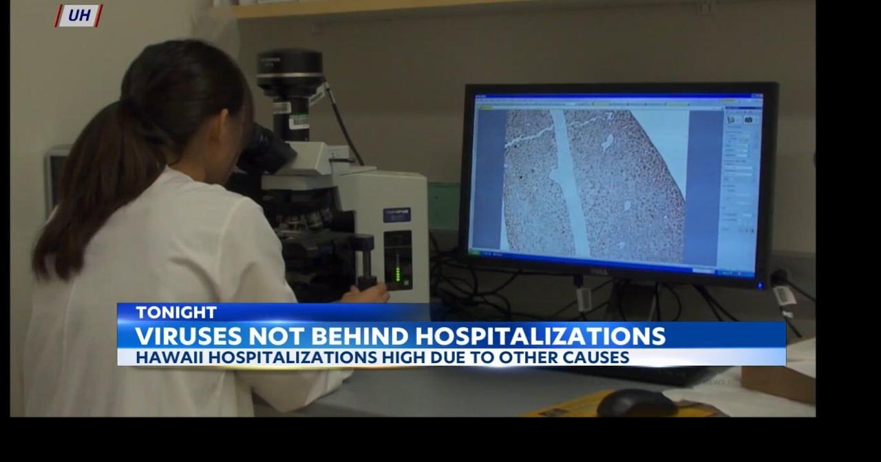 Respiratory Viruses Not Behind Hawaii Hospitalization Spike News