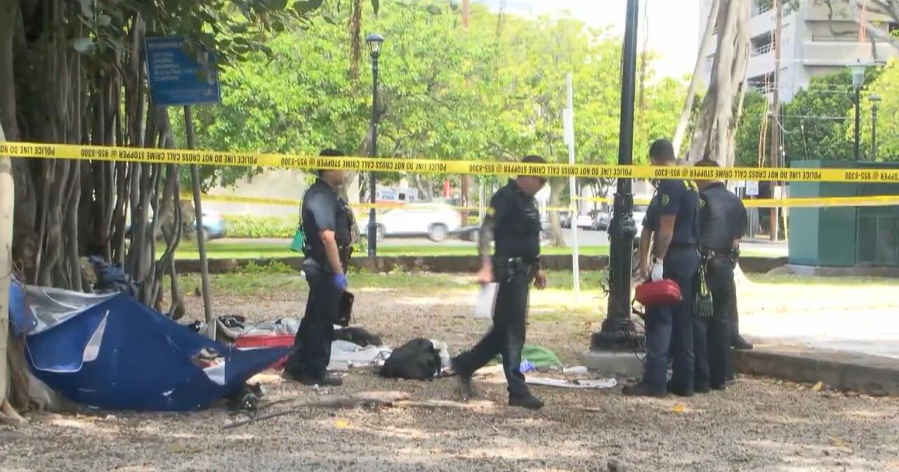 Two men in critical condition after suspected drug overdose at Thomas Square Park - Vimarsana News
