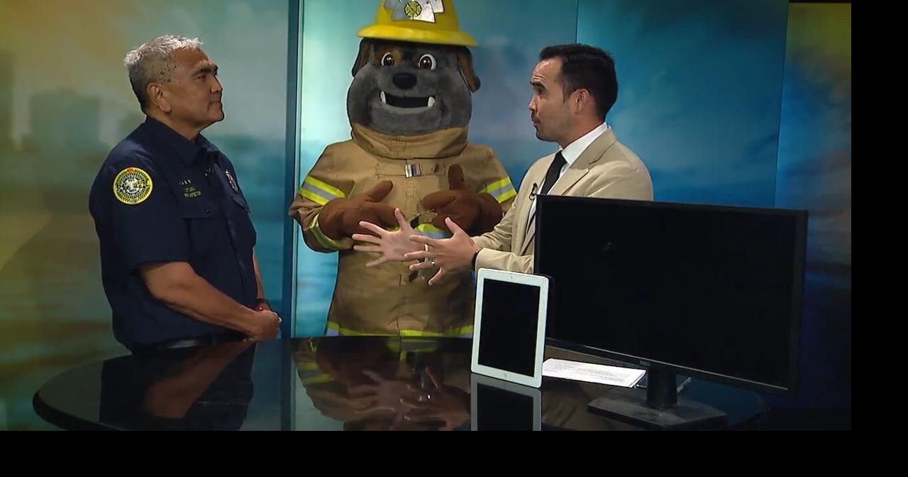HFD family day at Honolulu Zoo focuses on battery safety