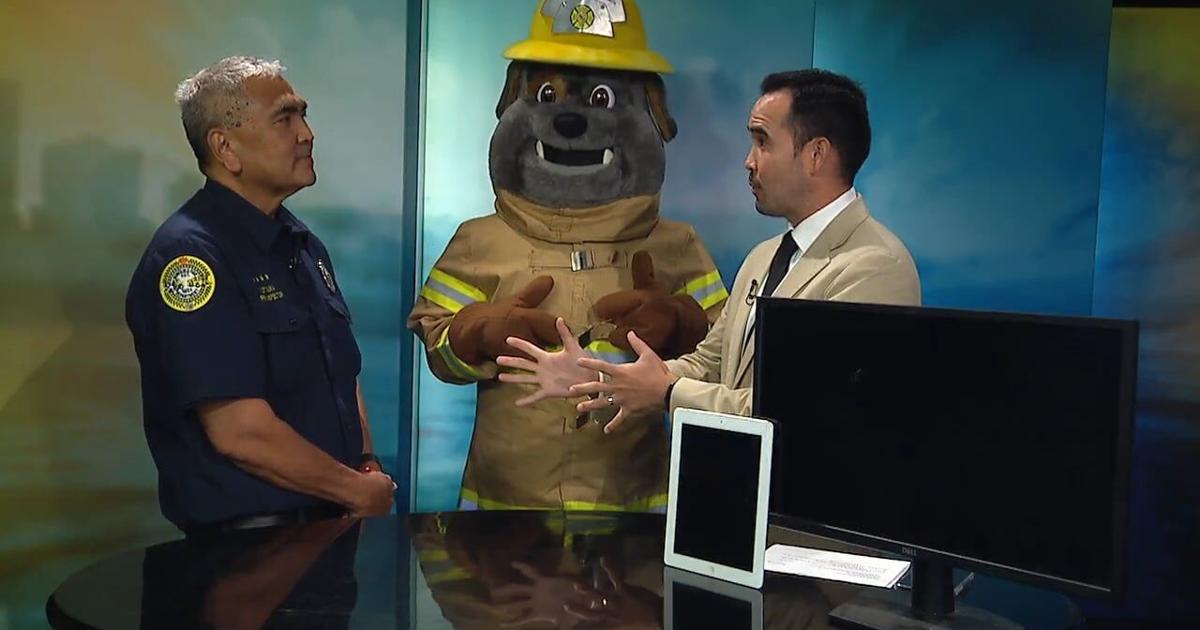 HFD family day at Honolulu Zoo focuses on battery safety