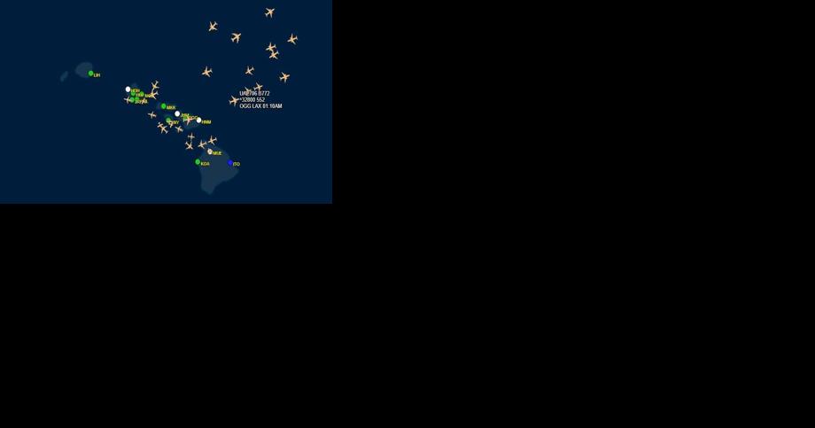 Winter Storm's impact on flights around the U.S. - Vimarsana News