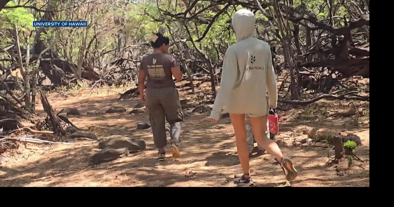 UH Sea Grant program trains next generation of Hawaii coastal stewards
