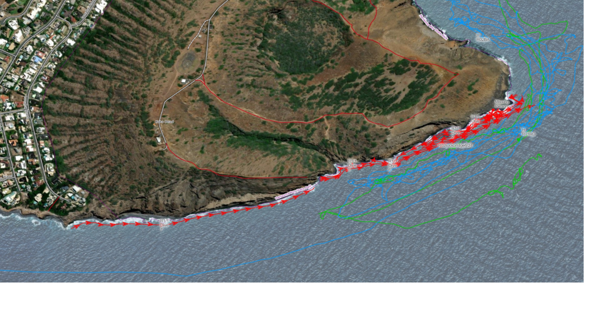 Hanauma Bay flight patterns search missing Korean father and son