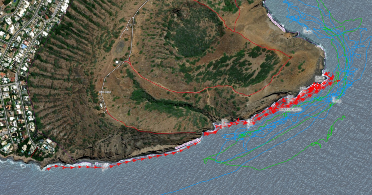 Hanauma Bay flight patterns search missing Korean father and son