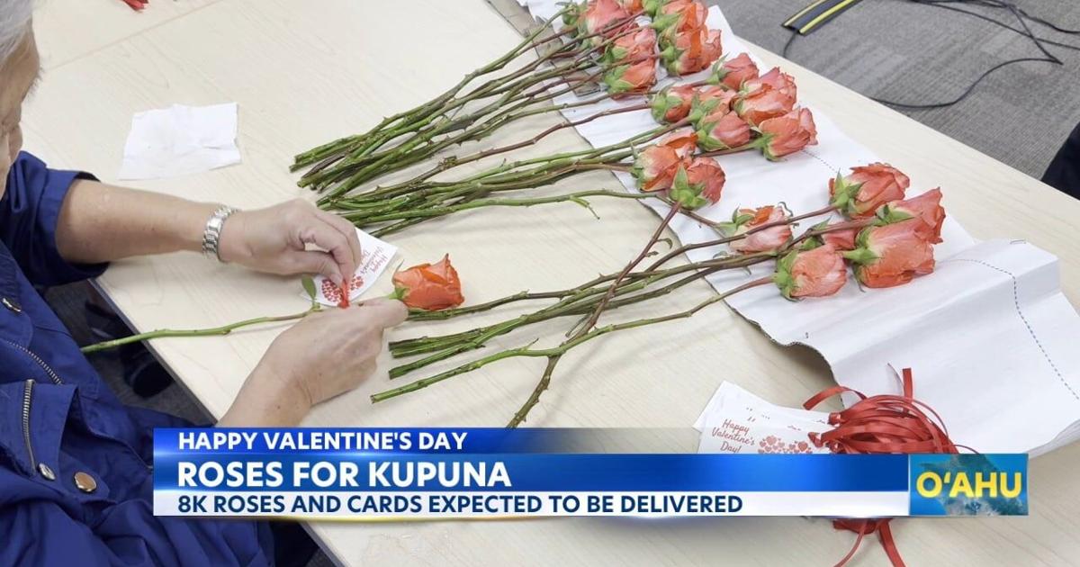 8,000 roses and cards to celebrate Hawaii’s seniors this Valentine’s ...
