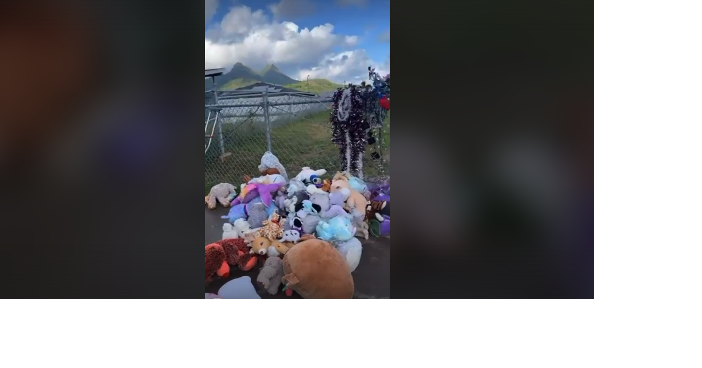 www.kitv.com