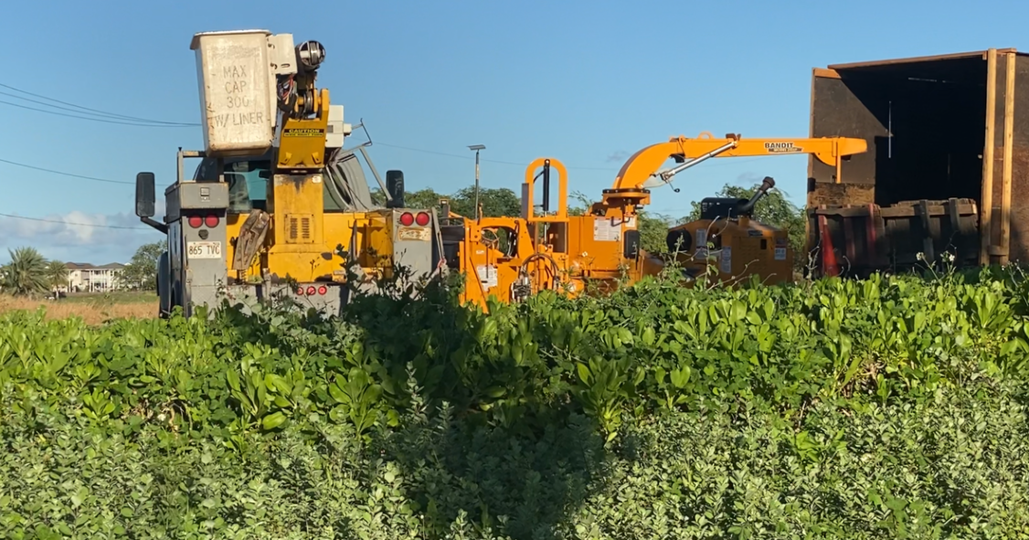 Hawaii s Largest Wave Pool Development Plans For Ewa Beach Divides Some hawaii-s-largest-wave-pool-development-plans-for-ewa-beach-divides-some