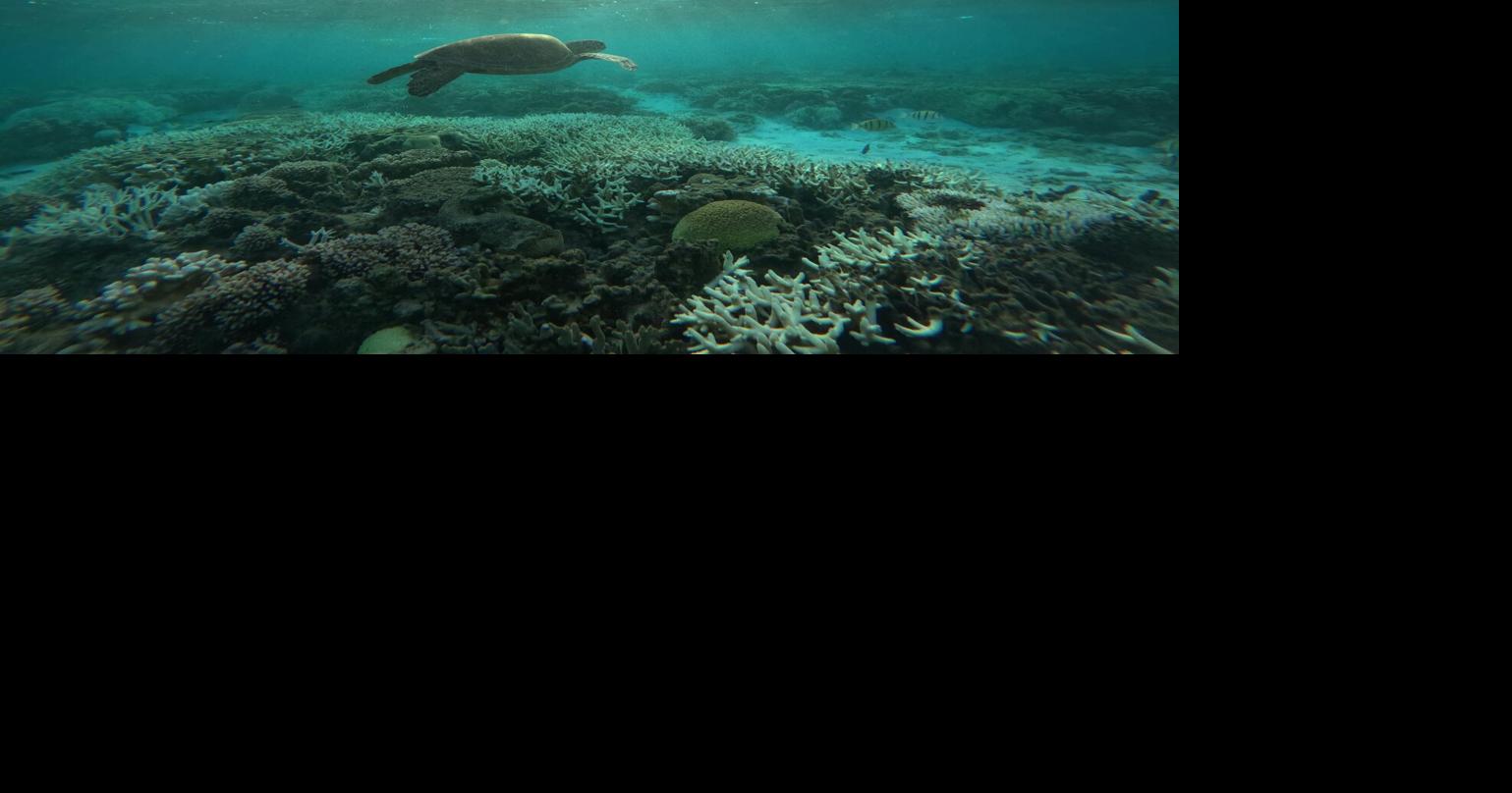 NOAA budget cuts threaten climate research in Hawai‘i