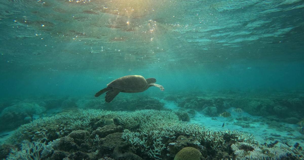 NOAA budget cuts threaten climate research in Hawai‘i