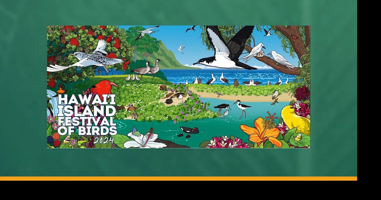 2024 Hawaii Island Festival of Birds | Island Life Live | kitv.com