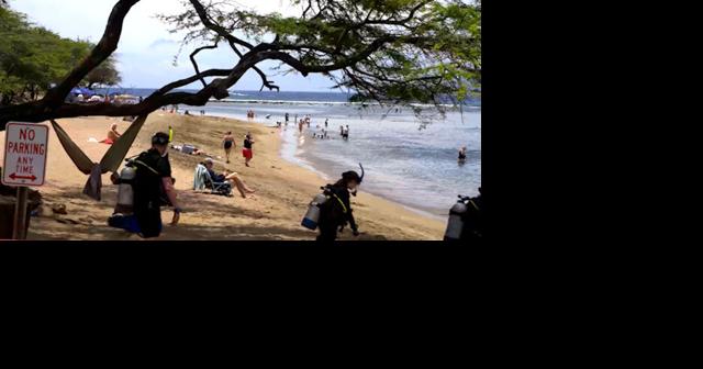 Despite failed settlement, activists still challenge scuba diving at Mala Wharf - Vimarsana News