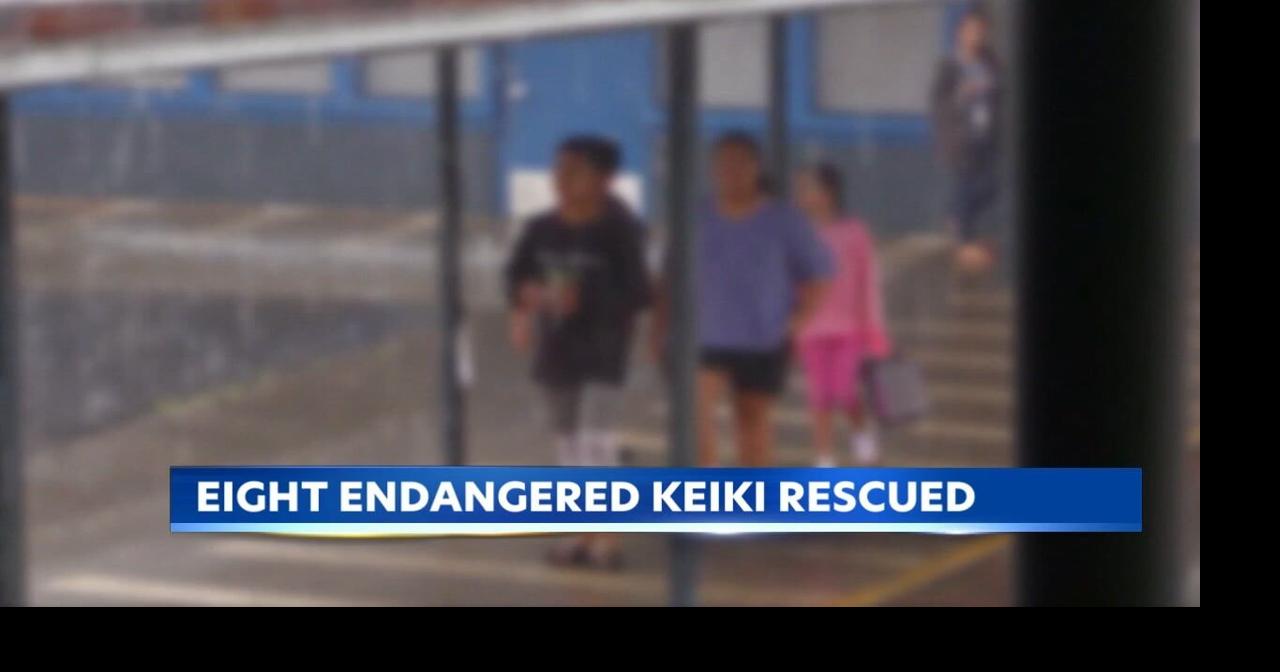 Efforts expand to stop Hawaii's alarming child trafficking crisis