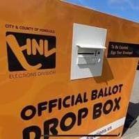 A look at primary election candidates - according to the numbers