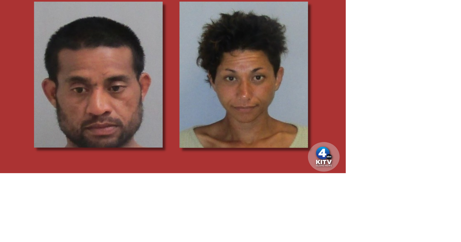 Two suspects arrested in connection to vandalism, burglaries on the Big ...
