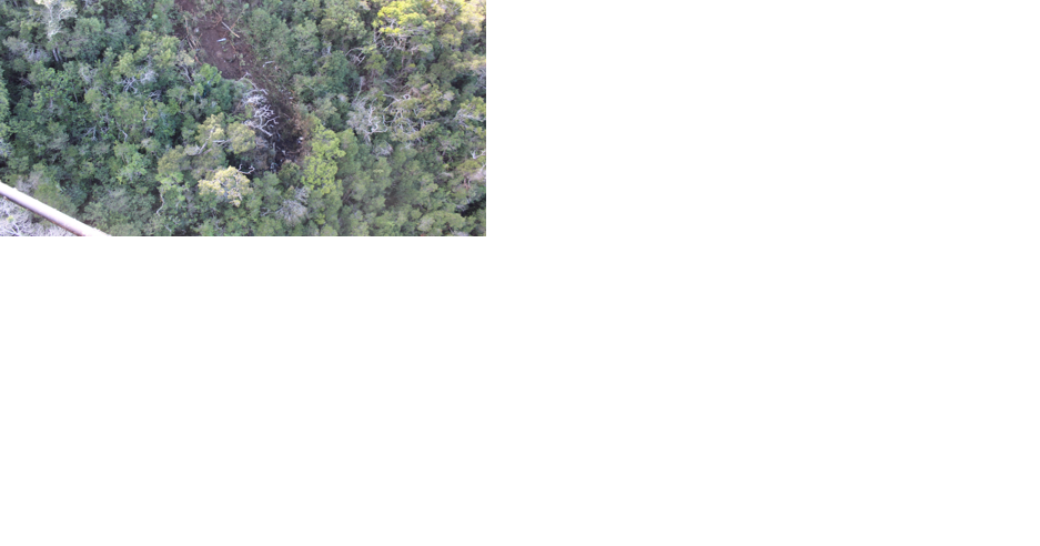 'This was 100% preventable' | NTSB cites lack of FAA oversight, pilot error in deadly 2019 Kauai helicopter crash - Vimarsana News