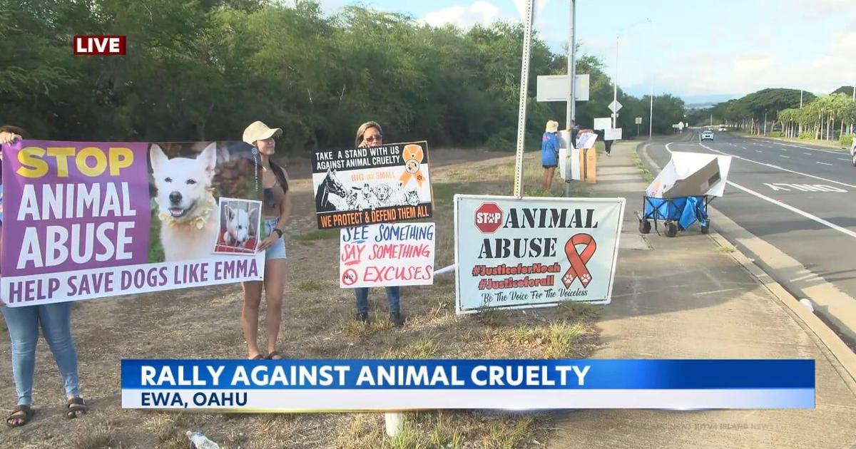O'ahu community members raise awareness against animal cruelty | Local ...