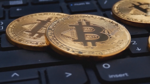 Fighting fraud in Hawaii