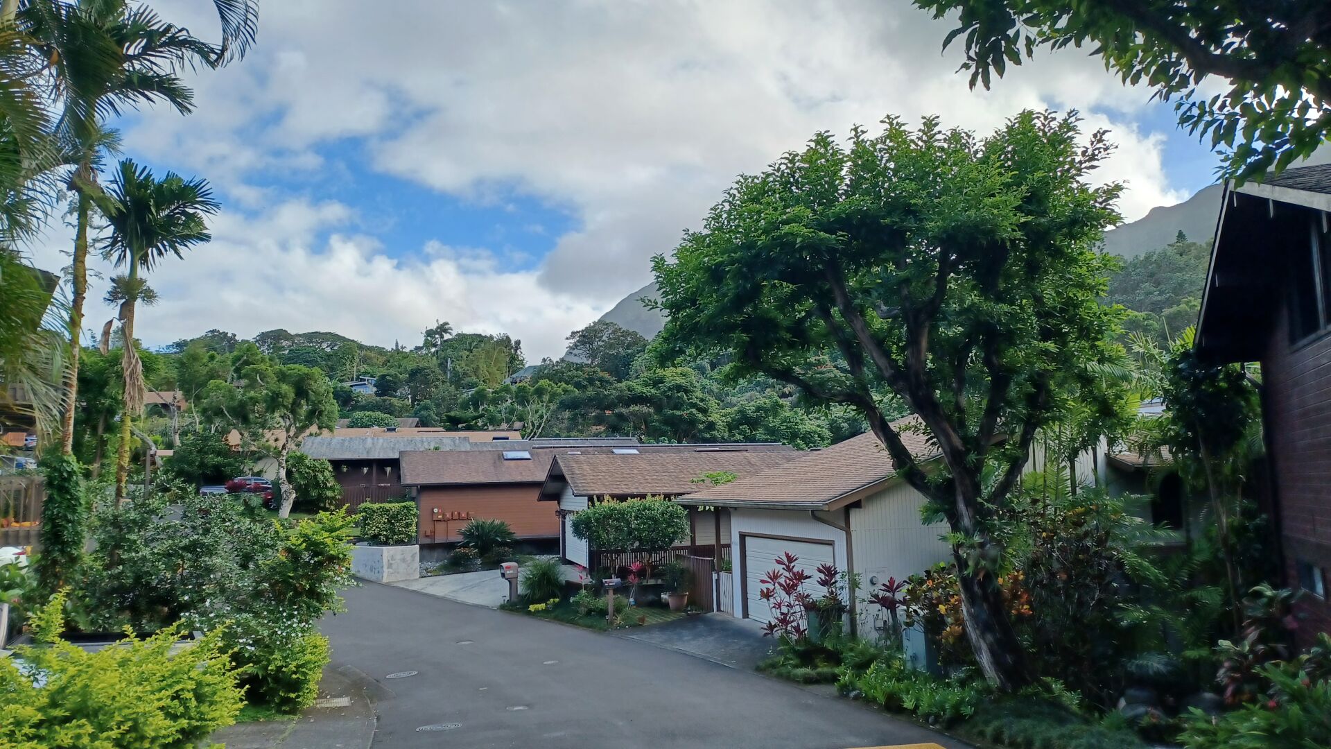 Aging Well: Homesharing Hawaii Hopes To Pair Seniors With Homeowners ...