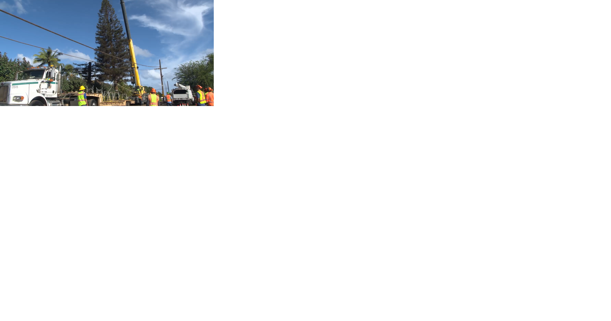 Honolulu City Lights Christmas tree harvested In Waialua - Vimarsana News