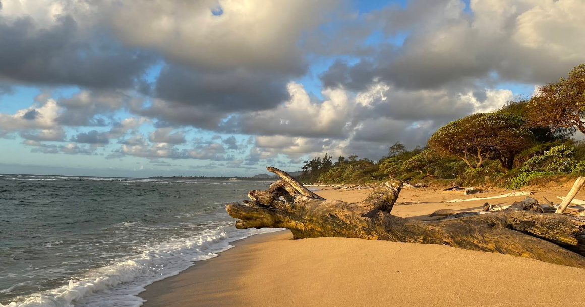 Lydgate Beach Park camping area to close for maintenance in March