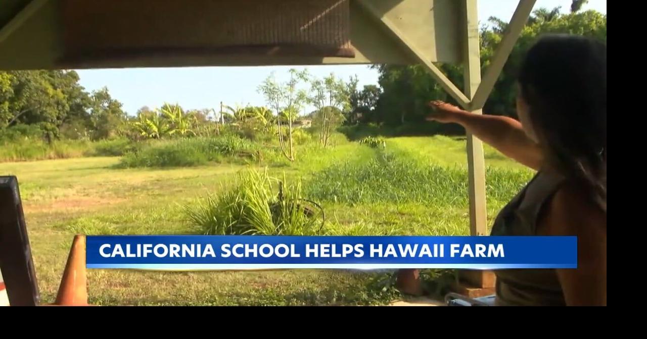 California sixth graders help raise money for Hawaiian teaching farms after Kona Low floods
