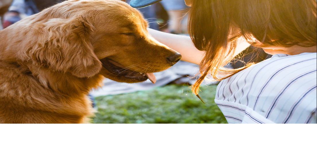 Free pet food & supplies distributed to houseless community on Max’s Giving Day | News