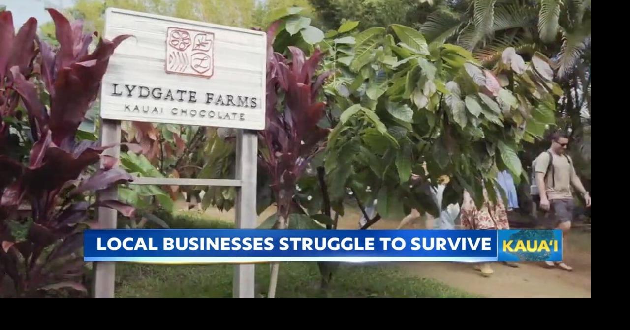 Kauai small businesses struggle as tourism drops after Hurricane Lowell
