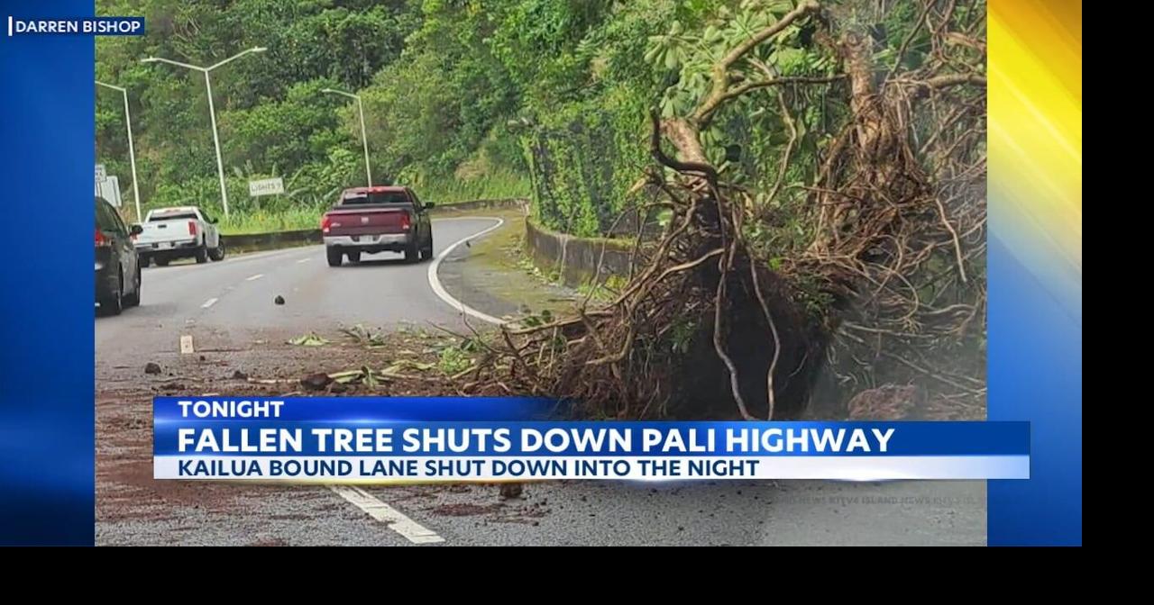 All Kailuabound lanes reopen on Pali Highway after landslide UPDATE