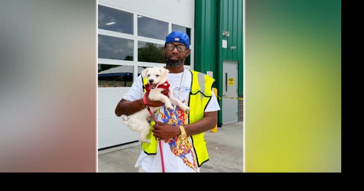 Texas driver saves dog found in trash truck hopper