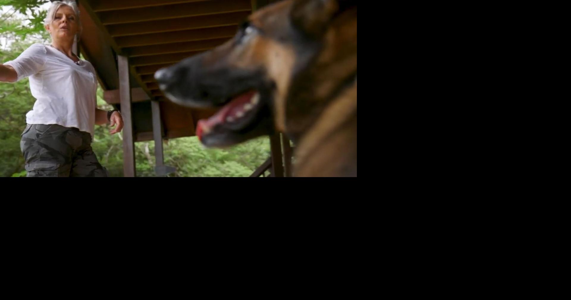 HawaiiBased Animal Trainer helps capture the perfect shot for Film & TV Entertainment