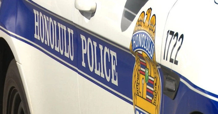 Woman, 19, with replica gun arrested after altercation at Honolulu airport car rental