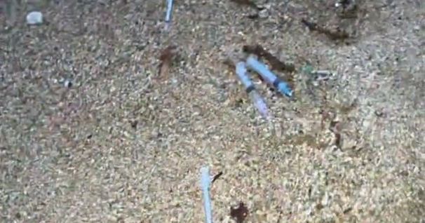 Dozens of discarded needles scattered on Kauai shore discovered by Kauai comedian