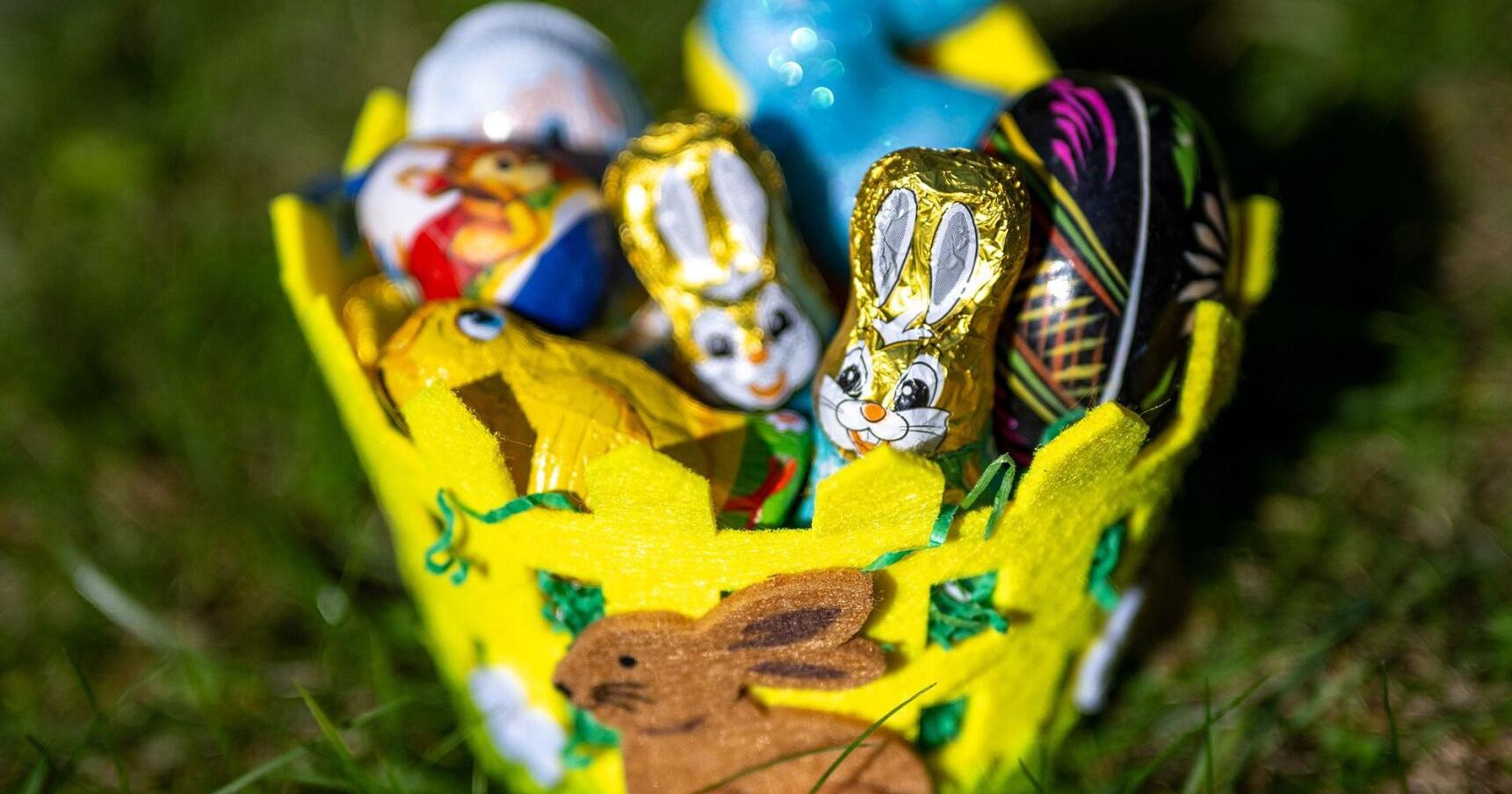 As cocoa prices soar this Easter, chocolatiers consider alternatives - Vimarsana News
