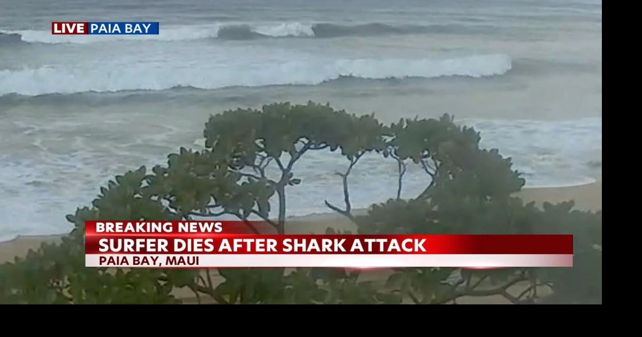 Haiku man dies following shark attack at Paia Bay on Maui | News | kitv.com