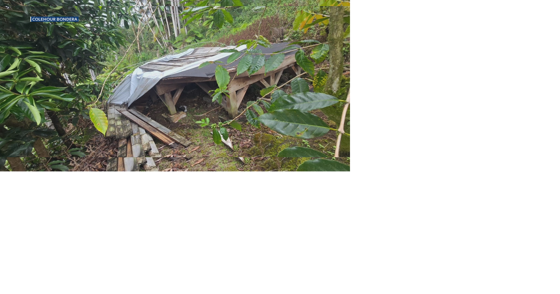 Kona farmers call on province to take action after Big Island earthquake | news